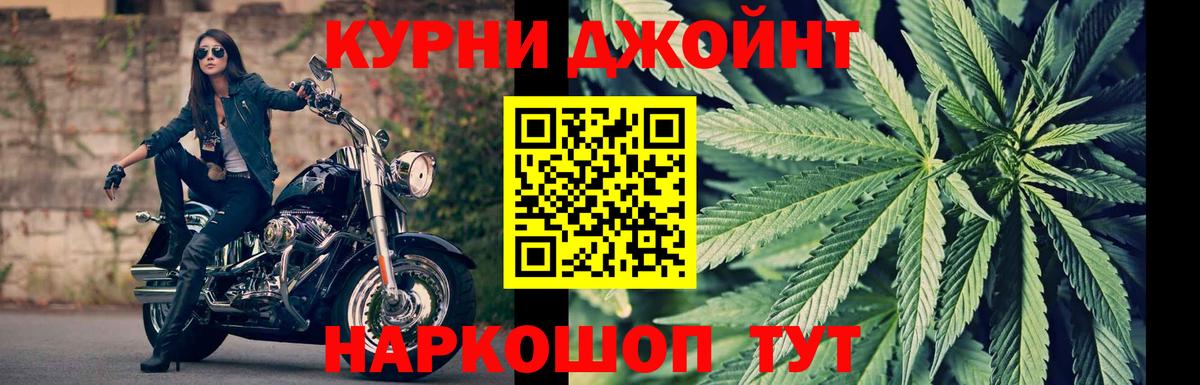 Каннабис семена  Канабис Bruce Banner  Бошки Шишки VHQ  Краснознаменск  Вход с VPN  Канабис индика 